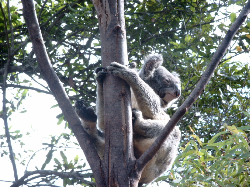 simg0465.jpg