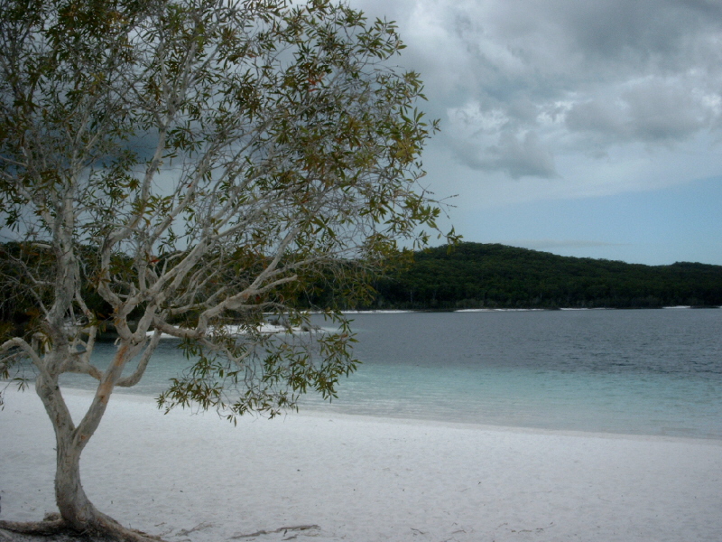 simg0609.jpg
