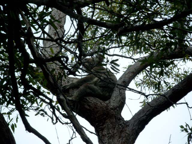 simg0638.jpg
