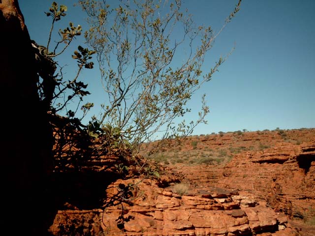 simg0803.jpg