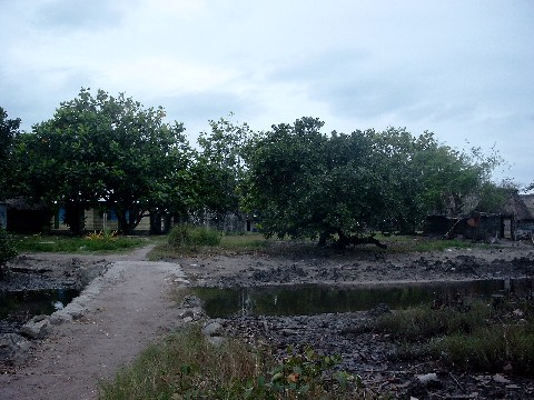simg1481.jpg